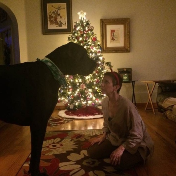 Living With Giants' Previously Loved Closet!! - Picture 2 of 8